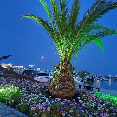 Dolche 2, Banana Tree Apartament *