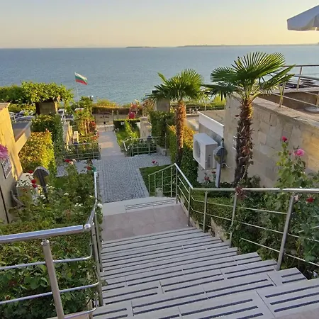 Dolche 2, Banana Tree Święty Włas